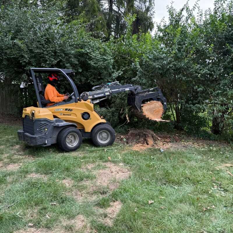 Stump Grinding and Removal Service in Columbus OH - Ortiz Tree Services LLC (4)