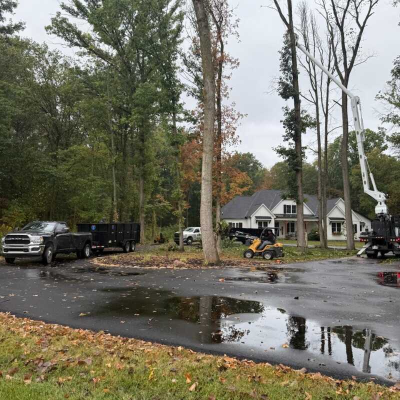 Tree Trimming Service in Columbus OH - Ortiz Tree Services LLC (3)